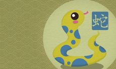 虎蛇婚配大吉吗 夫妻结局如何