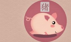 猪和鼠相冲吗 合不合财运