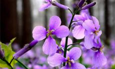 十二星座中心情不好会直接罢工的星座