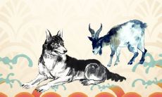 羊和狗谁克谁 未戌相刑到底有多严重