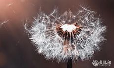 91年7月26日是什么命 农历六月十五出生命运