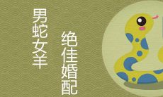男蛇女羊为何说是绝配 两人生哪个属相的宝宝好