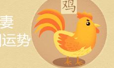 1992男猴1993女鸡配吗 如何提升二者婚姻运势