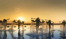 甲申日生人最忌几月生 女人最命苦的生肖