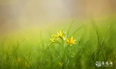 奇门遁甲用神 奇门遁甲用神的取法