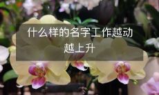 什么样的名字工作越动越上升