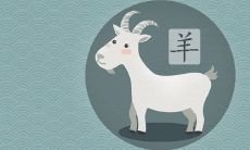 91男羊和95猪女姻缘运势好吗