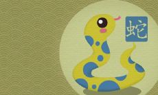 蛇马不到头的寓意是什么 男马女蛇的婚姻是否长久