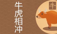 97年牛和98虎年配吗 如何提升牛虎夫妻的婚姻运势