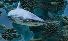 对金钱不以为然让人觉得没出息的星座