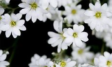 91年7月25日是什么命 农历六月十四出生命运