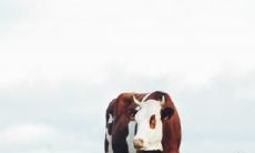 庚戌日生人最忌几月生 属龙最忌讳几月出生