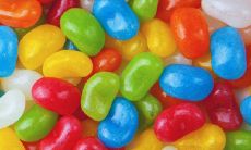 2022虎年谐音祝福语及新年贺词