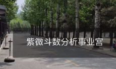 紫微斗数分析事业宫