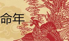 2022属虎本命年的说说大全