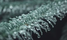 大寒二十四节气歌完整版