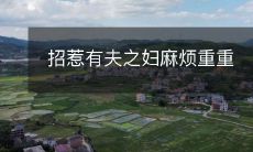 招惹有夫之妇麻烦重重