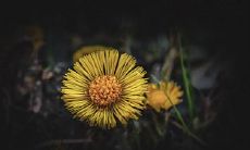 91年7月22日是什么命 农历六月十一出生命运