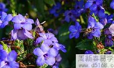 哪个星座的男孩喜欢大大咧咧没心没肺的女孩