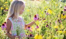 2023年癸卯年动婚姻宫的八字 有喜事的日柱