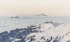 91年1月13日是什么命 农历十一月二十八出生命运