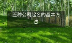 五种公司起名的基本方法