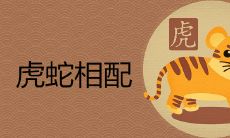 属虎和属蛇的夫妻结局是断头婚吗