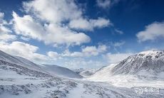 91年1月12日是什么命 农历十一月二十七出生命运