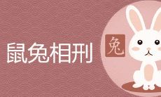 母亲属兔孩子属鼠相刑严重吗 子卯相刑如何化解
