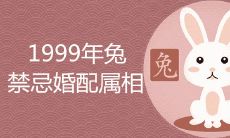 1999年兔禁忌婚配属相有哪些