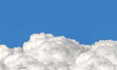 91年1月11日是什么命 农历十一月二十六出生命运