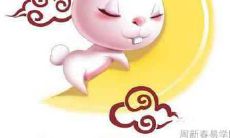 属猪和属兔的婚姻相配吗 属猪和属兔的合不合