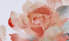 女方出嫁需要准备什么嫁妆 结婚当天女方箱子里装什么