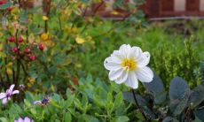 初二生人是大富大贵之命2023年 仁寿两得的福富贵命