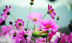 旺夫女人的面相的特点是什么 面形方正圆润