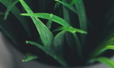 2023年桃花旺的八字 甲辰日柱恋爱幸福