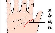 男人生命线的几种不同诠释