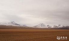 91年1月9日是什么命 农历十一月二十四出生命运