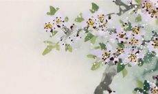 2022年10月11日动土日子好吗 今日日子好不好