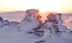 91年1月8日是什么命 农历十一月二十三出生命运