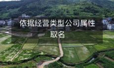 依据经营类型公司属性取名
