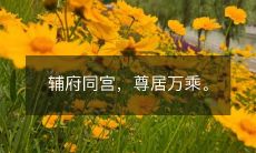 辅府同宫,尊居万乘。