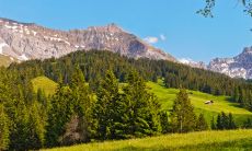 正月初二出生的男孩命运怎么样2023年 一出生命带富贵