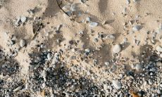 2023属兔腊月出生的女人命运 一生都很幸福