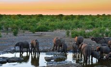 2023属兔腊月出生好吗 财富运势平平