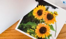 2023年必婚姻的八字 己卯日柱的人婚姻生活美满