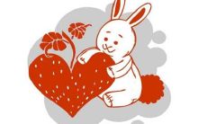 2023年兔年的含义 “弱木不穿红,兔子不往西”的意思