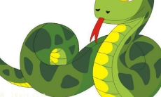 2023年什么颜色是属蛇人的吉祥色