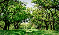 寓有大家风范的男孩名字大全