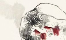 12生肖运势小报2023年3月24日特吉生肖运程详情